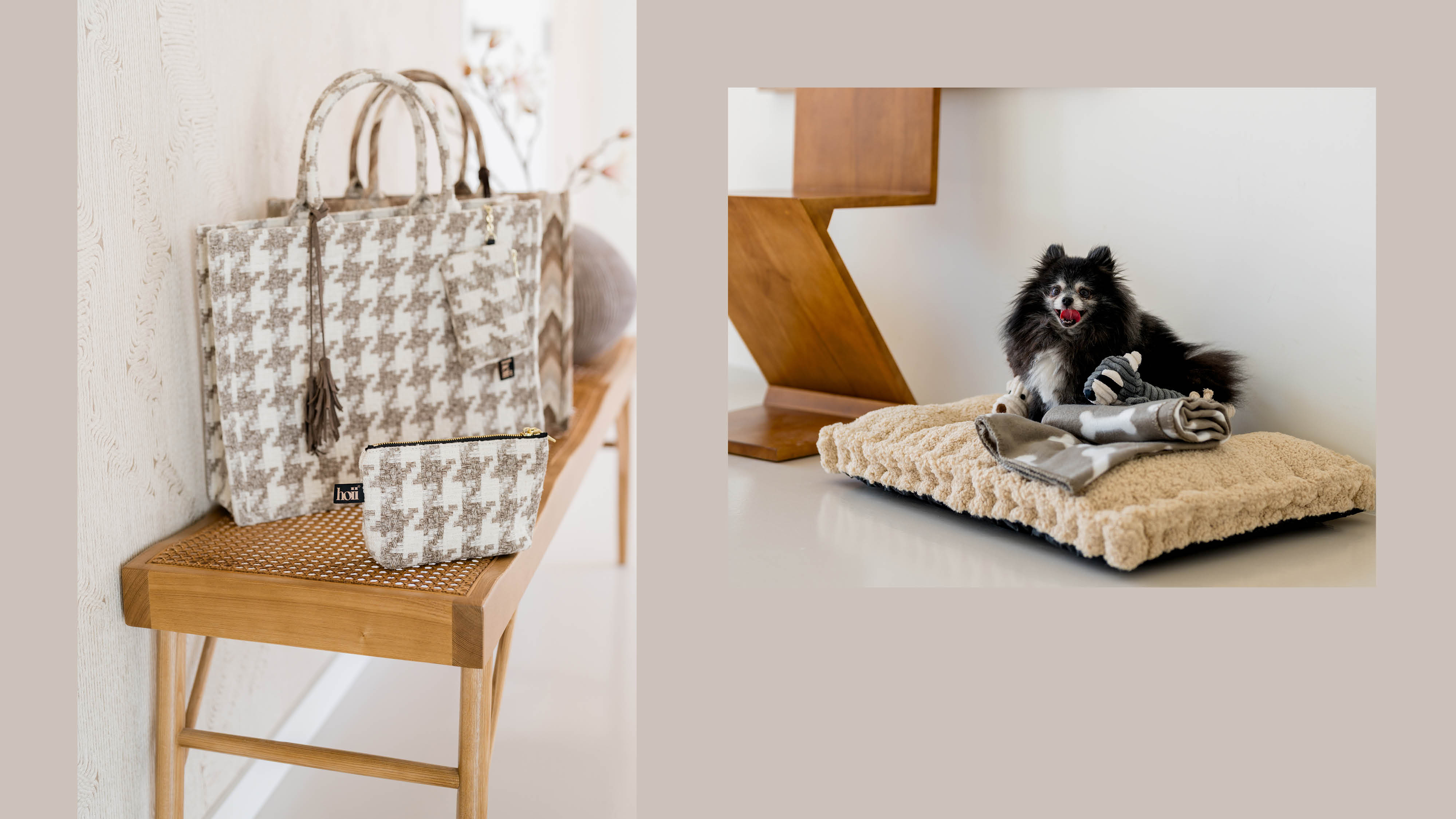 rogon-image