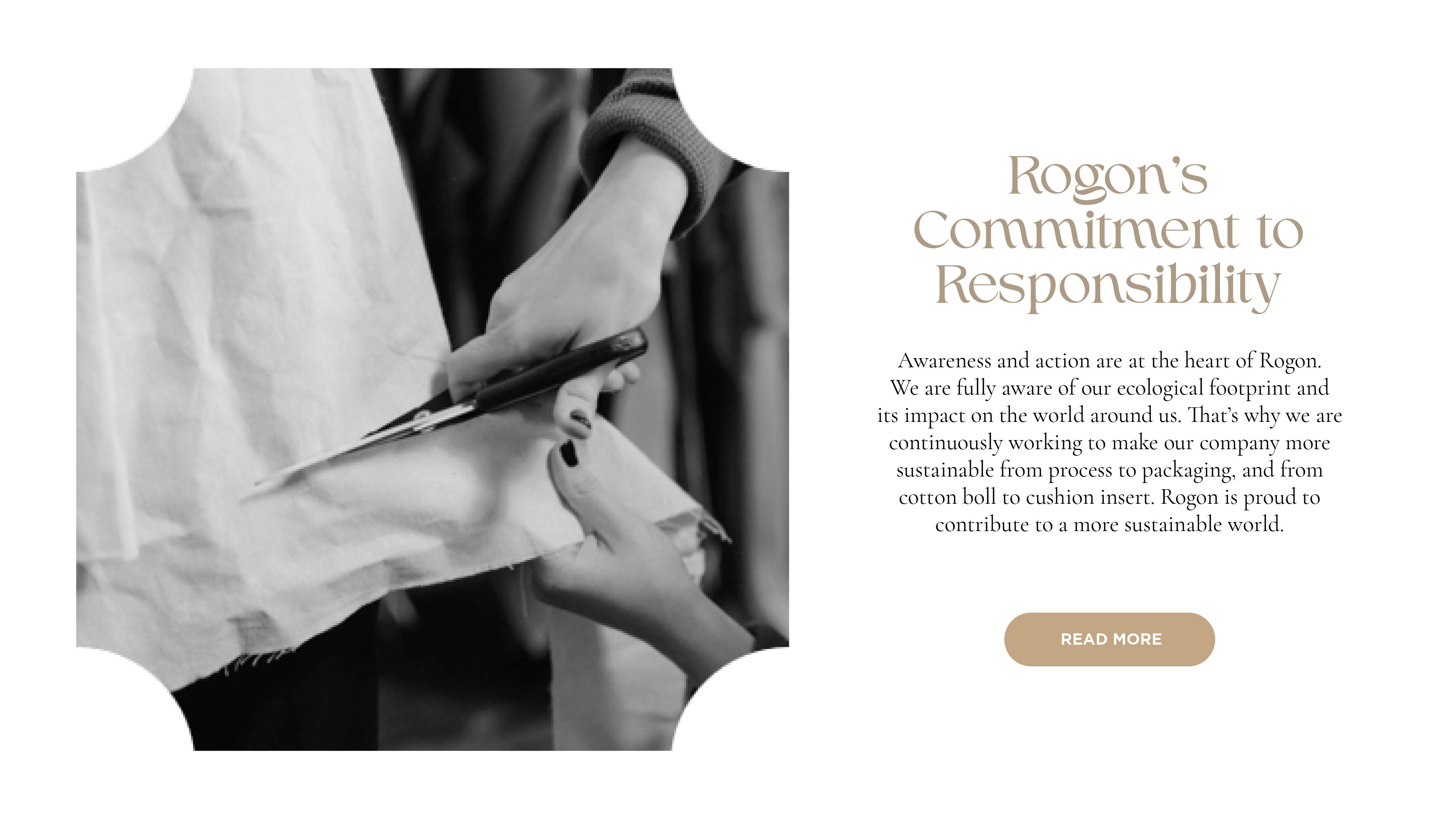rogon-image