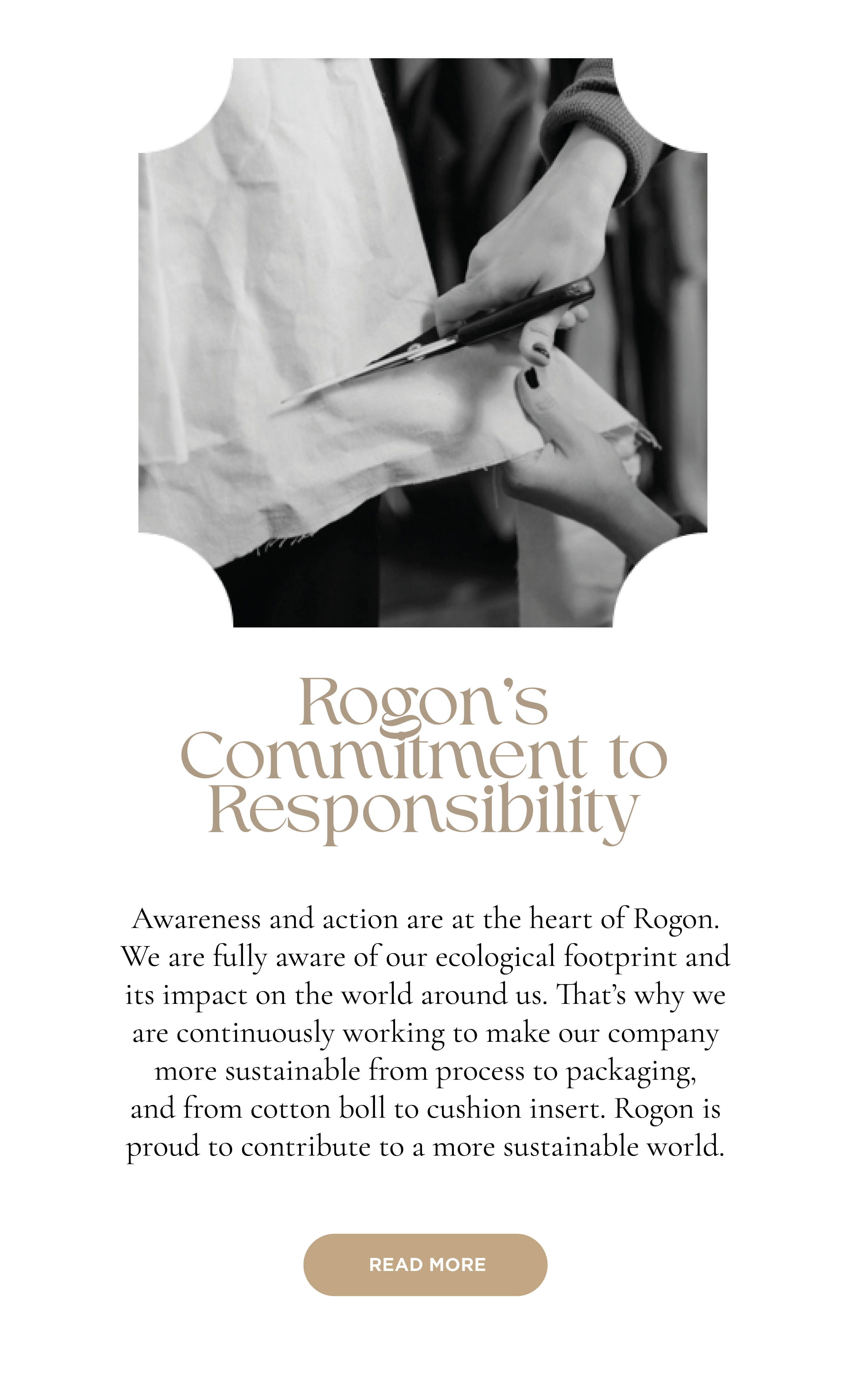 rogon-image